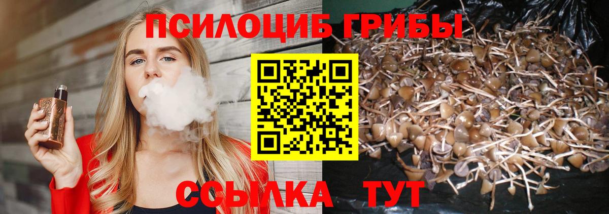 Галлюциногенные грибы Cubensis Зеленокумск